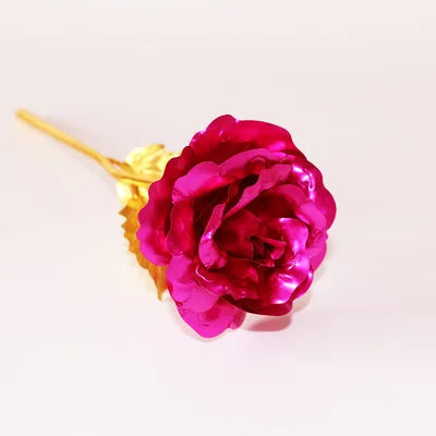 HOOR Valentine's Day Gift Rose Rose-red