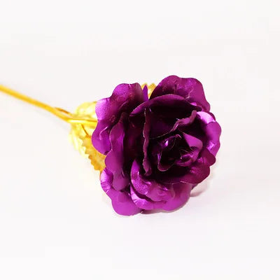 HOOR Valentine's Day Gift Rose Purple
