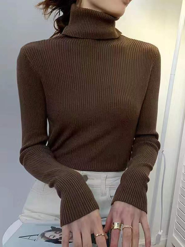 HOOR Turtleneck Sweaters Dark coffee One Size